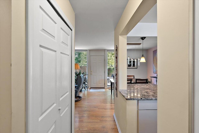 hallway featuring wood finished floors