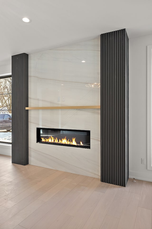 details featuring wood finished floors, a fireplace, and recessed lighting