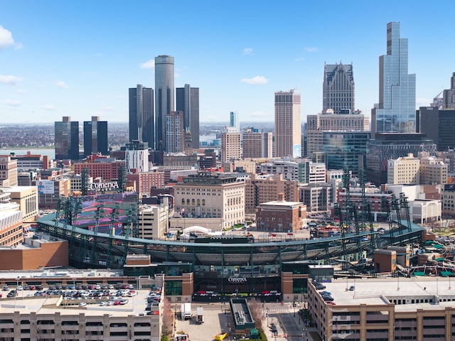 220 Alfred St, Detroit, MI 48201 - view of city