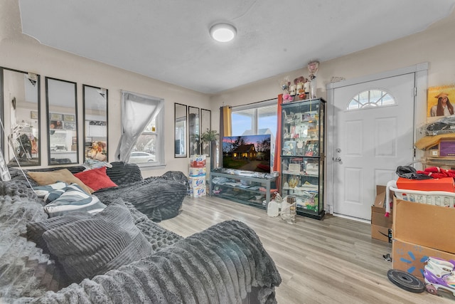 19965 Barlow St, Detroit, MI 48205 - living area with plenty of natural light and wood finished floors