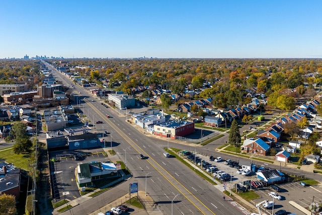 19965 Barlow St, Detroit, MI 48205 - drone / aerial view