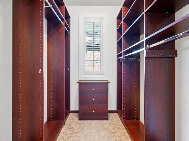 spacious closet with carpet