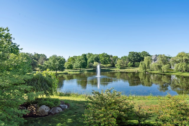 view of water feature