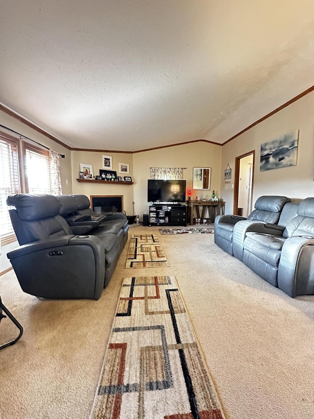 carpeted living room featuring a textured ceiling and ornamental molding