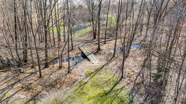 57480 72nd Ave, Hartford, MI 49057 - view of water feature