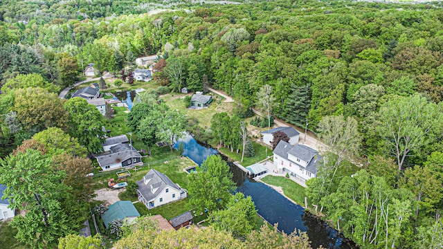 5095 Bliss Ln, Newaygo, MI 49337 - birds eye view of property with a forest view, a residential view, and a water view