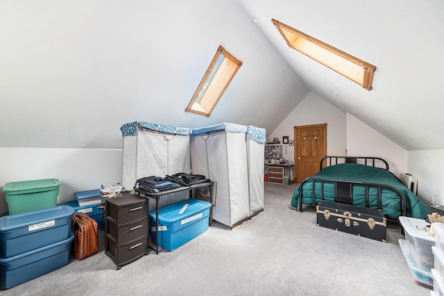 5095 Bliss Ln, Newaygo, MI 49337 - additional living space featuring carpet and lofted ceiling with skylight