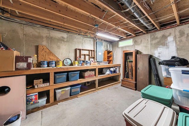 5095 Bliss Ln, Newaygo, MI 49337 - storage room with electric panel