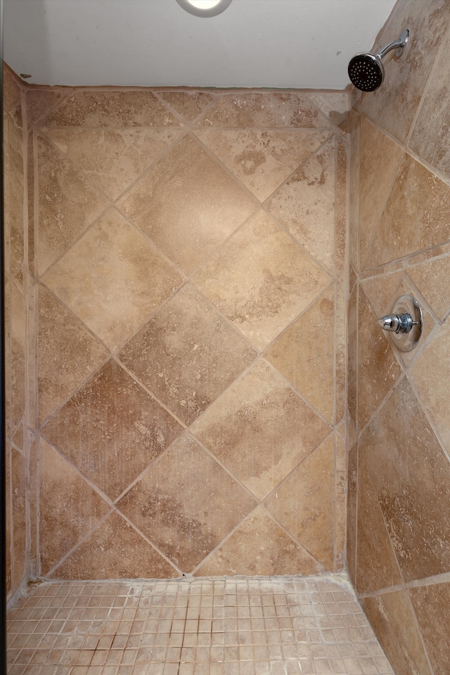details featuring a tile shower
