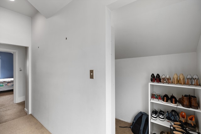 interior space with carpet floors