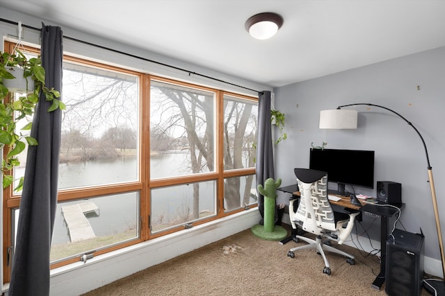 office with carpet