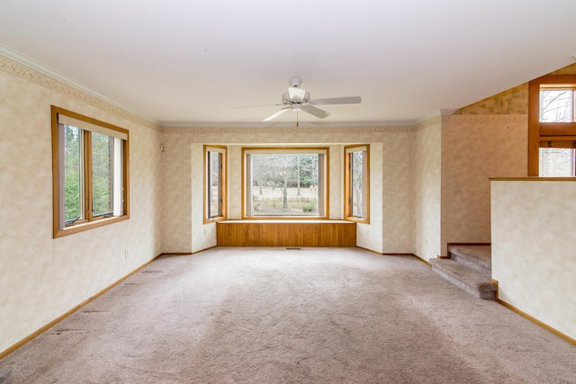 unfurnished room featuring crown molding, ceiling fan, carpet, and baseboards
