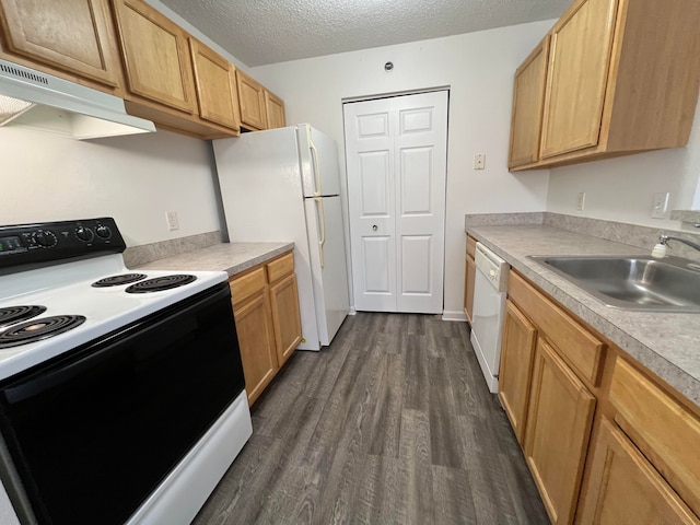 kitchen with white appliances, under cabinet range hood, dark wood-style flooring, a sink, and a textured ceiling