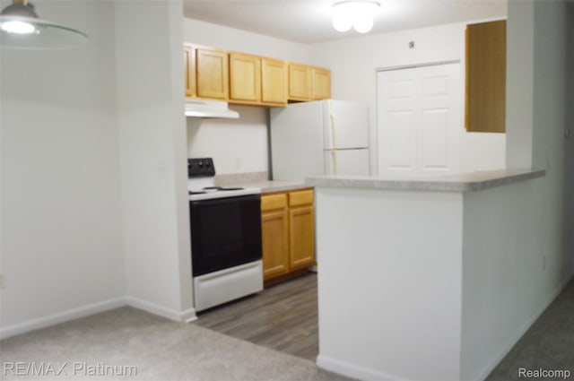 12201 Pinehurst Ln, Grand Blanc, MI 48439 - kitchen with white appliances, under cabinet range hood, light countertops, carpet flooring, and baseboards