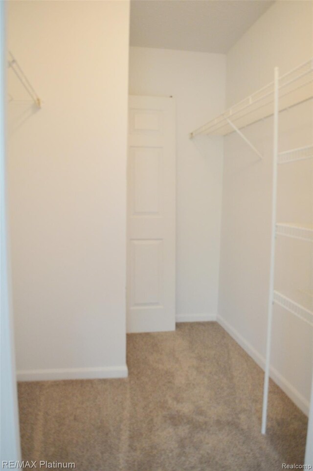 12201 Pinehurst Ln, Grand Blanc, MI 48439 - walk in closet featuring carpet floors