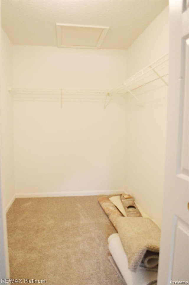12201 Pinehurst Ln, Grand Blanc, MI 48439 - spacious closet featuring attic access and carpet floors