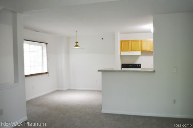 12201 Pinehurst Ln, Grand Blanc, MI 48439 - unfurnished living room featuring carpet flooring and baseboards