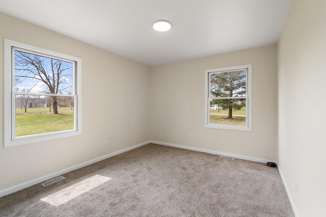 spare room with plenty of natural light, carpet flooring, and visible vents