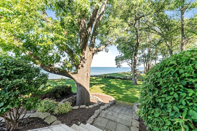 view of yard with a water view