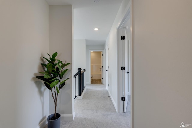 hall featuring baseboards and carpet