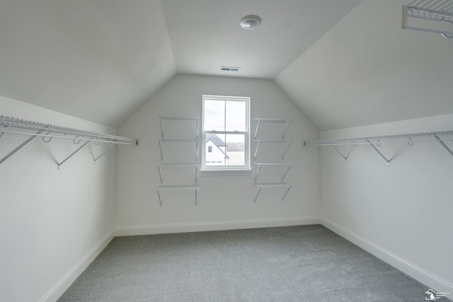spacious closet with visible vents, vaulted ceiling, and carpet floors