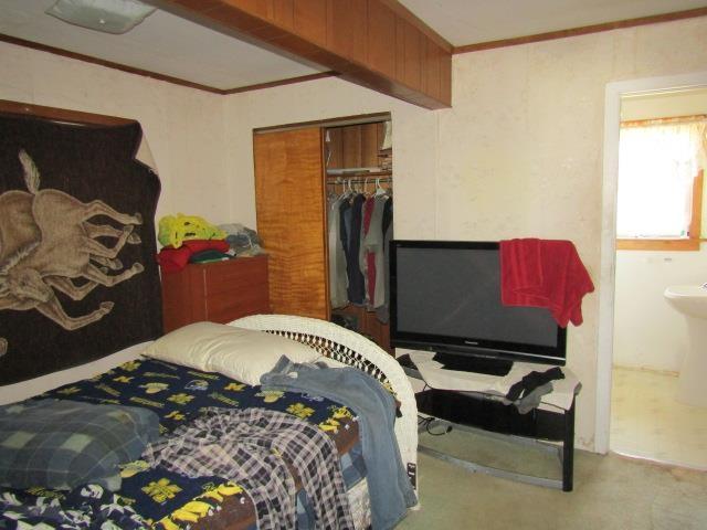 carpeted bedroom featuring a closet and ornamental molding