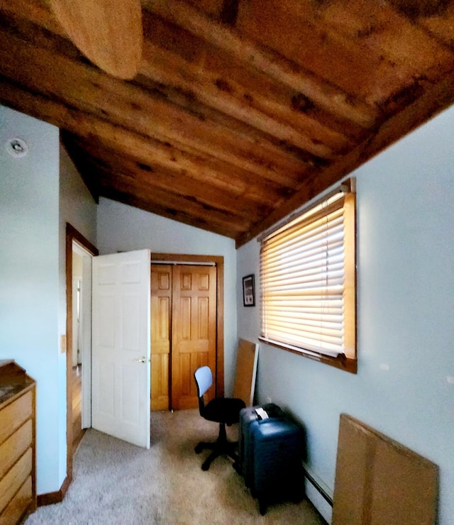 sitting room featuring carpet, vaulted ceiling, and baseboard heating