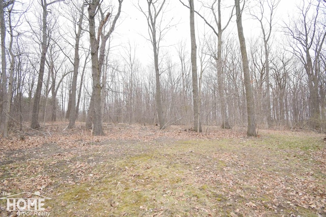 view of landscape with a wooded view