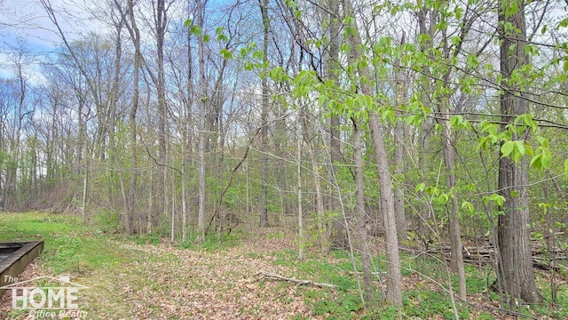 4405 E M-71 Rd, Corunna, MI 48817 - view of woods