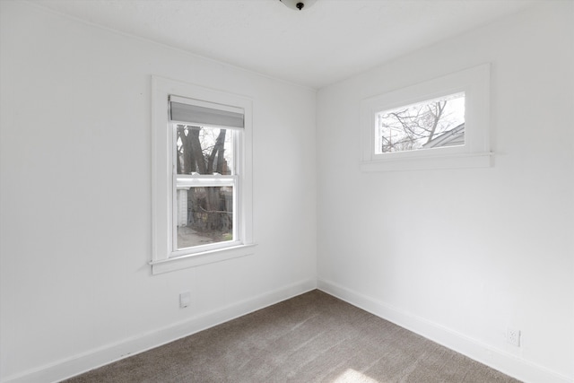 23737 Couzens Ave, Hazel Park, MI 48030 - unfurnished room with baseboards, carpet, and a healthy amount of sunlight