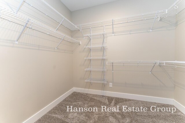 spacious closet featuring carpet floors