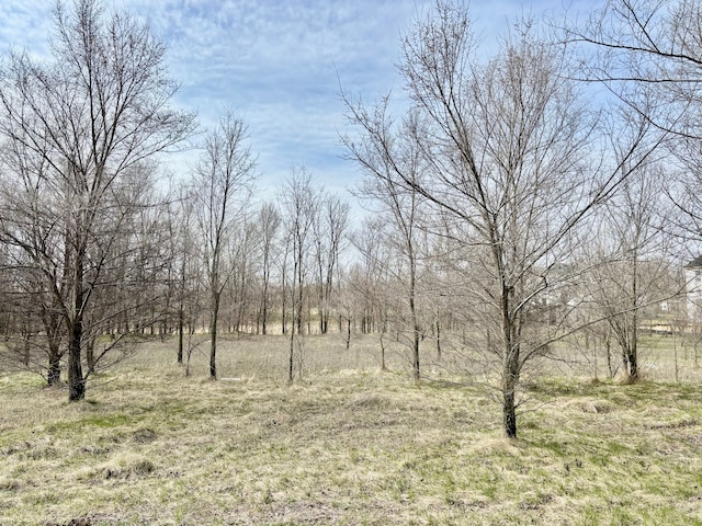 view of landscape