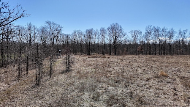view of landscape featuring a wooded view