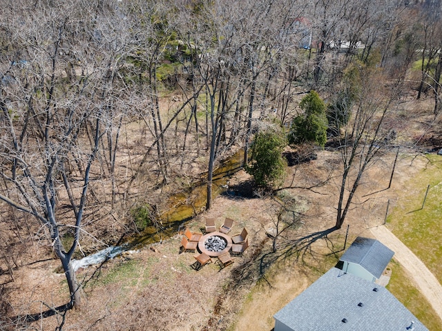 bird's eye view