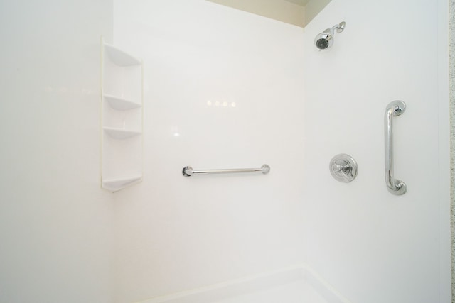 full bathroom featuring a shower