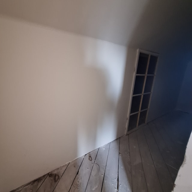 unfurnished room with wood finished floors