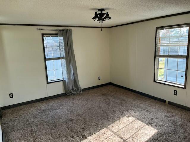 carpeted empty room featuring a textured ceiling, baseboards, and plenty of natural light