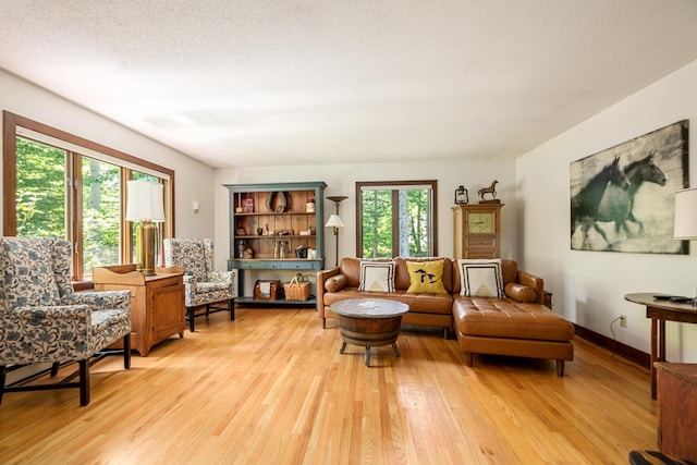 living room with light wood-style flooring
