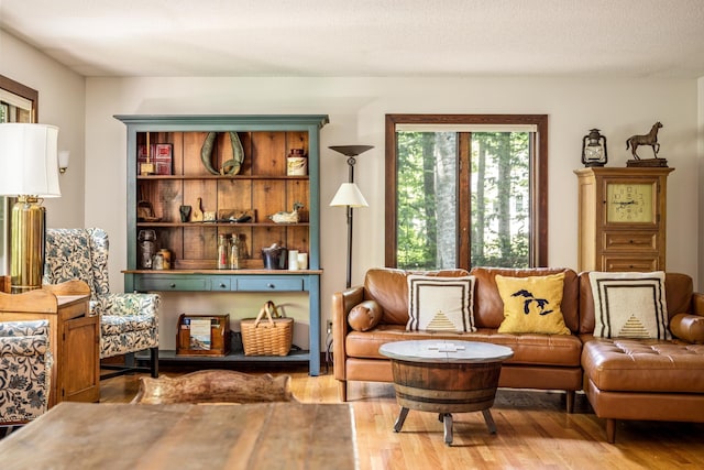 living area featuring wood finished floors