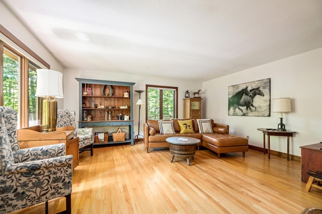 living area with baseboards and light wood-style floors