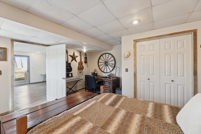 bedroom featuring a paneled ceiling, a closet, and wood finished floors