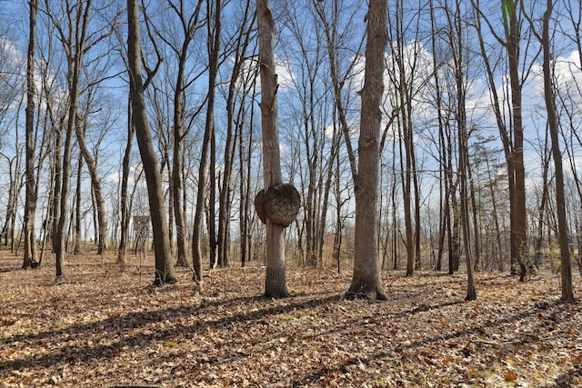 view of landscape