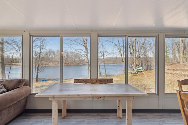 sunroom featuring a water view and a healthy amount of sunlight