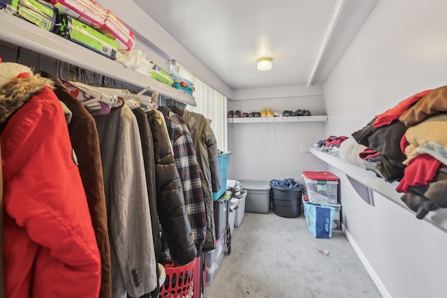 27423 W 12 Mile Rd, Farmington Hills, MI 48334 - walk in closet with carpet flooring