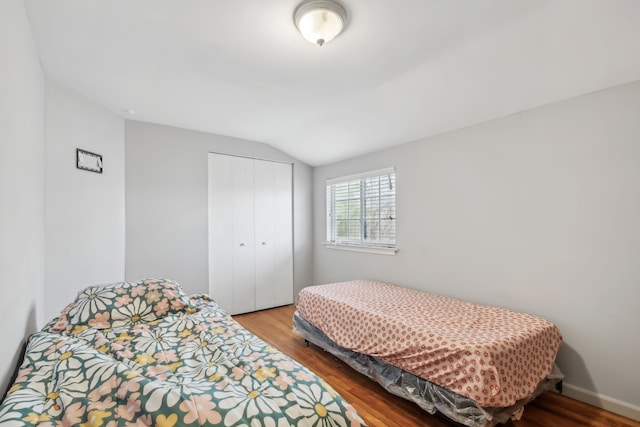 27423 W 12 Mile Rd, Farmington Hills, MI 48334 - bedroom with wood finished floors, a closet, and vaulted ceiling