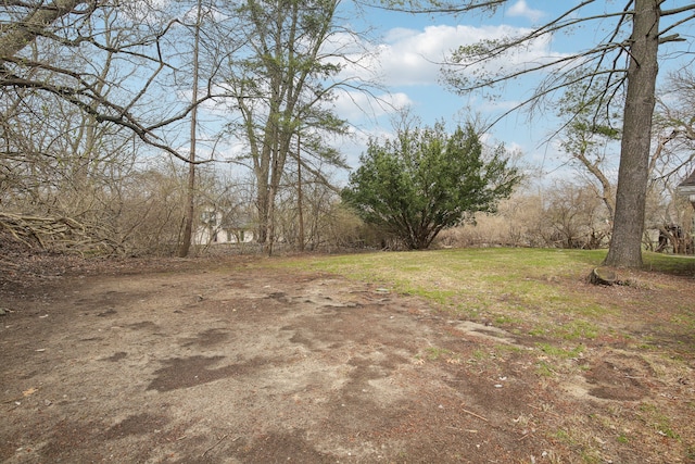 27423 W 12 Mile Rd, Farmington Hills, MI 48334 - view of yard