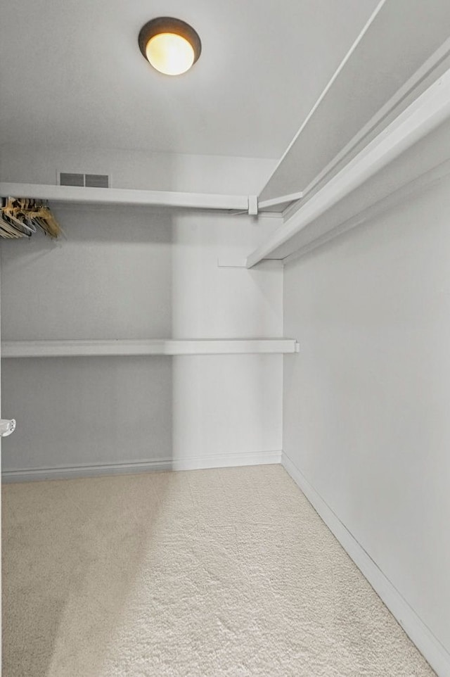 29709 Francesca Ln, Chesterfield, MI 48047 - spacious closet with visible vents and carpet