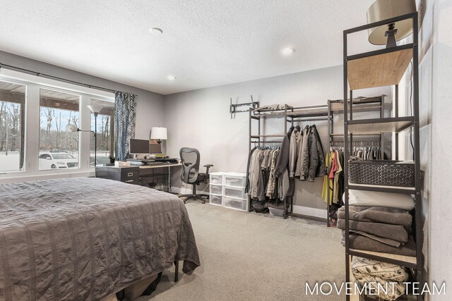 11559 Williams Rd, Montague, MI 49437 - carpeted bedroom with a textured ceiling, baseboards, and recessed lighting