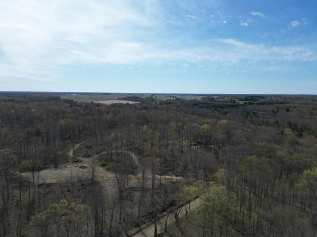 11559 Williams Rd, Montague, MI 49437 - drone / aerial view featuring a forest view