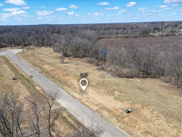 4070 Metamora Rdg, Metamora, MI 48455 - birds eye view of property with a view of trees